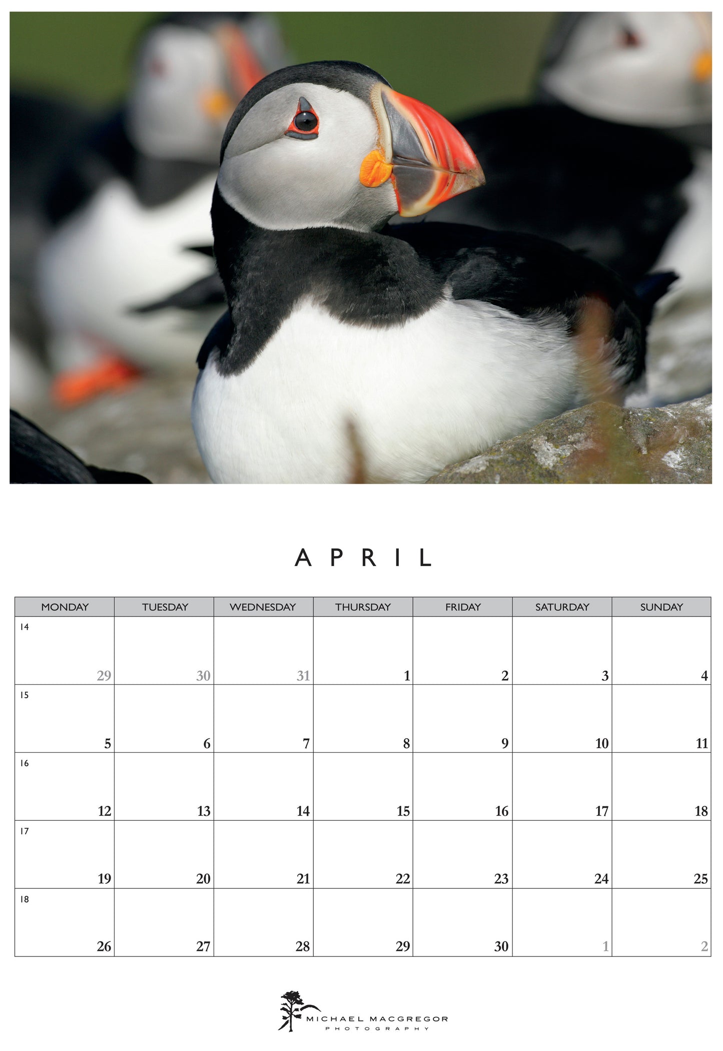 Michael Macgregor Puffins 2027 Calendar