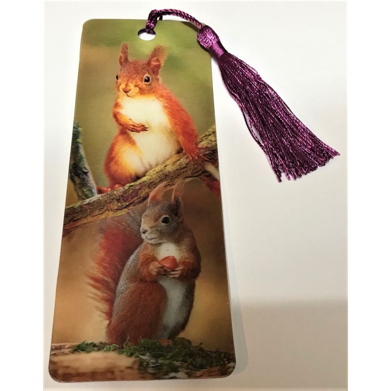 Scottish Squirrels Lenticular Bookmark Ruler