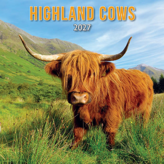 2027 Scotland Calendar: Highland Cows – Wall Calendar