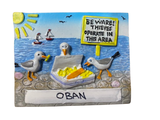 Hungry Seagulls Thieves Magnet - Oban
