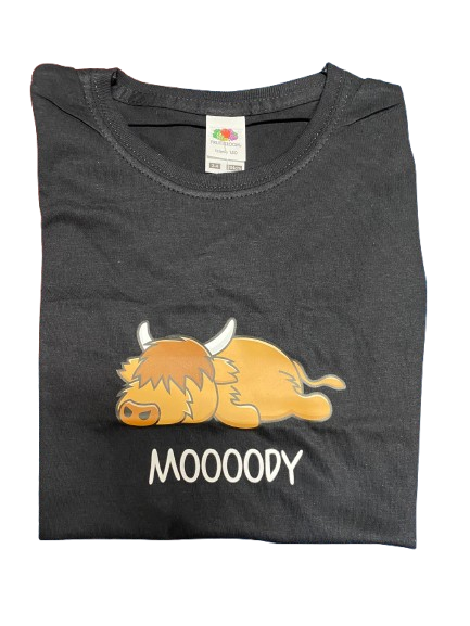 Ladies Scottish Highland Cow T Shirt (Moody Cow) - Size M