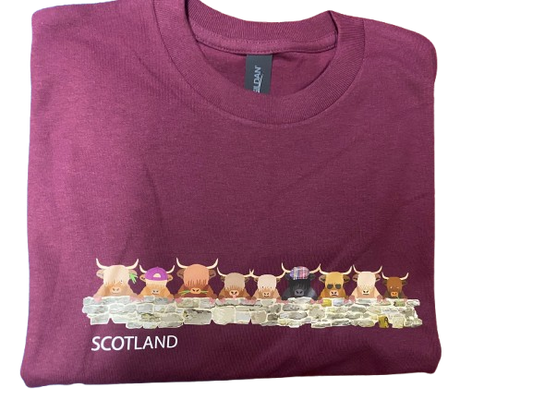 Coos over the Wall T Shirt Burgundy - L