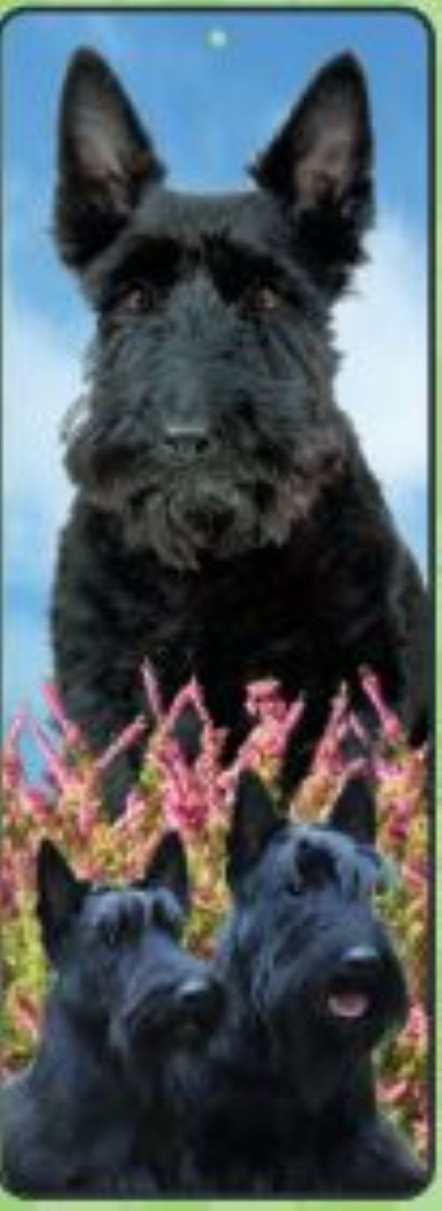 Scottish Terrier Lenticular Bookmark Ruler