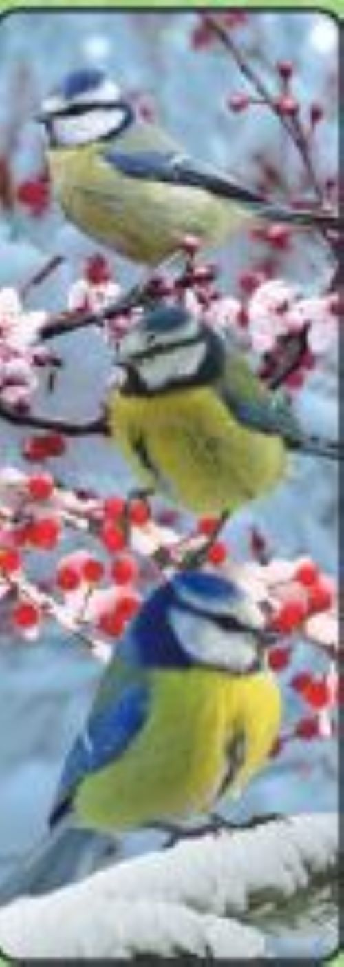 Blue Tits Lenticular Bookmark Ruler
