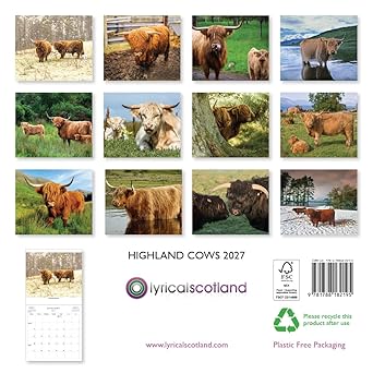 2027 Scotland Calendar: Highland Cows – Wall Calendar
