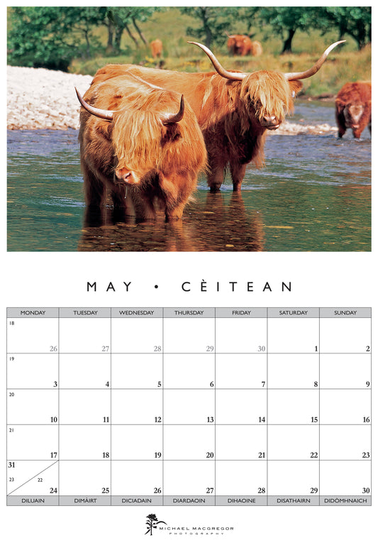 Michael Macgregor Highland Cattle 2027 Calendar