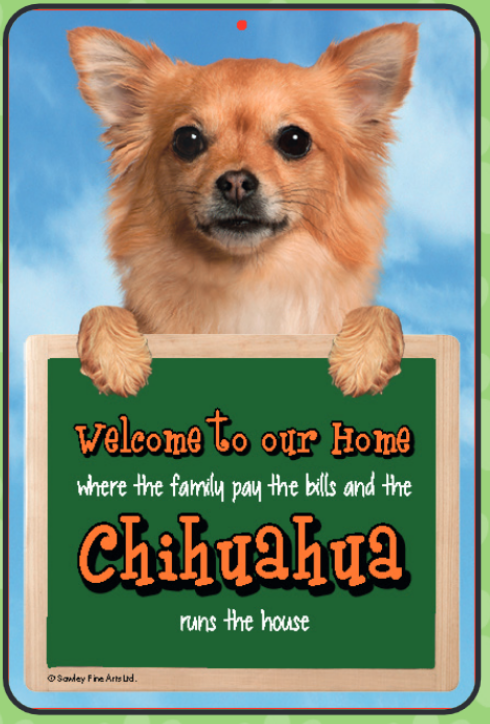 Chihuahua (Long Hair) Welcome Hang-up