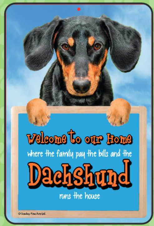Dachshund (Black & Tan) Welcome Hang-up