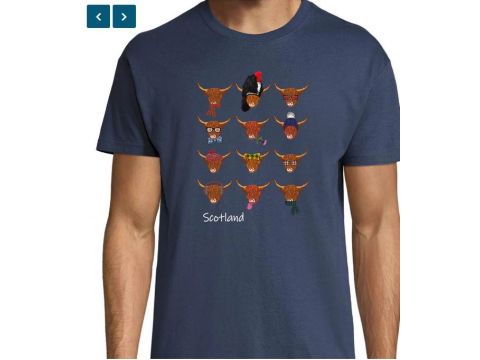 Scottish T Shirt Multi Coos T-Shirt (S)