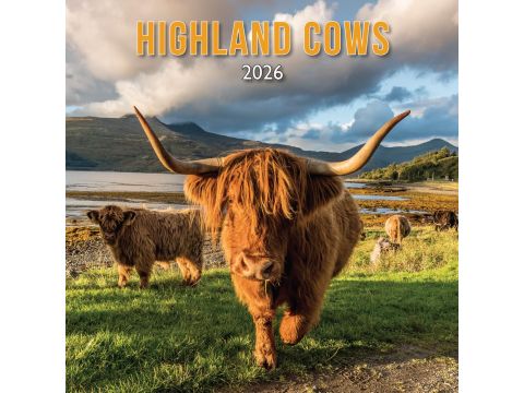 2026 Scotland Calendar: Highland Cows – Wall Calendar – Month to View – 12 Months