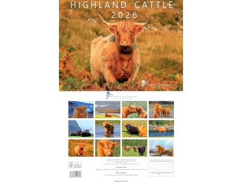 Michael Macgregor Highland Cattle 2026 Calendar