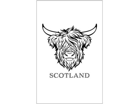 Scotland Highland Coo Tea Towel