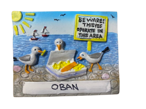 Hungry Seagulls Thieves Magnet - Oban