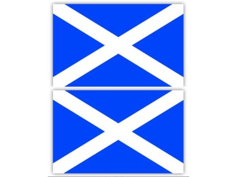 Saltire Flag Mini Sticker X 2