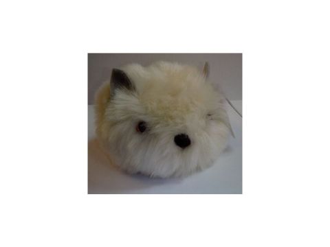 Wild Hairy Haggis (Cream)