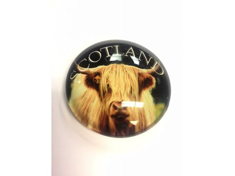 Highland Cow Glass magnet