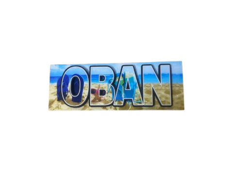 Large Oban 3D Fridge Magnet