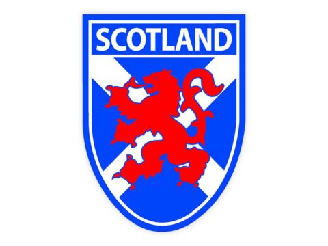 Saltire/Lion Rampant Sticker