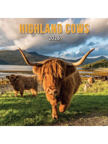 2026 Scotland Calendar: Highland Cows – Wall Calendar – Month to View – 12 Months