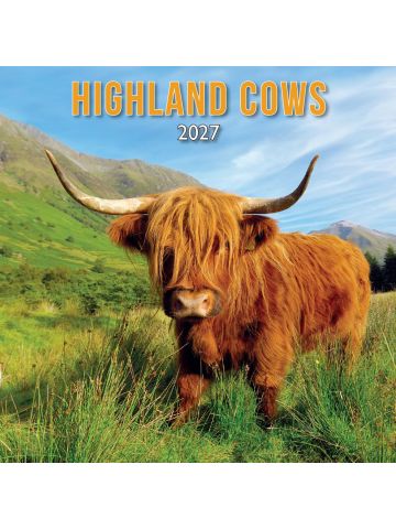 2027 Scotland Calendar: Highland Cows – Wall Calendar