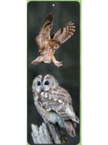 Tawny Owls Lenticular Bookmark Ruler