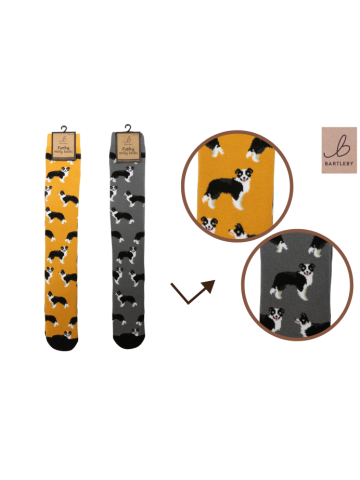 Bartleby Funky Welly Socks - Sheep Dog 1 pair Yellow or Grey 